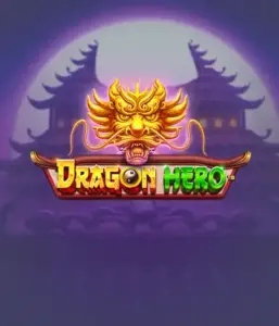 Join a mythical quest with Dragon Hero Slot by Pragmatic Play, featuring stunning graphics of mighty dragons and epic encounters. Discover a land where legend meets excitement, with featuring enchanted weapons, mystical creatures, and treasures for a mesmerizing gaming experience.