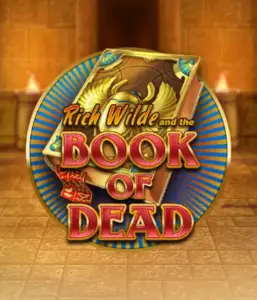 Embark on the thrilling world of Book of Dead Slot by Play'n GO, featuring vivid graphics of Rich Wilde’s adventurous journey through ancient Egyptian tombs and artifacts. Find lost riches with captivating mechanics like free spins, expanding icons, and a gamble option. Ideal for those seeking adventure with a desire for exciting finds.